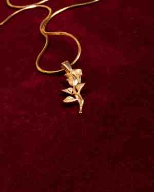 Ros Halsband Guld - miniatyr 3